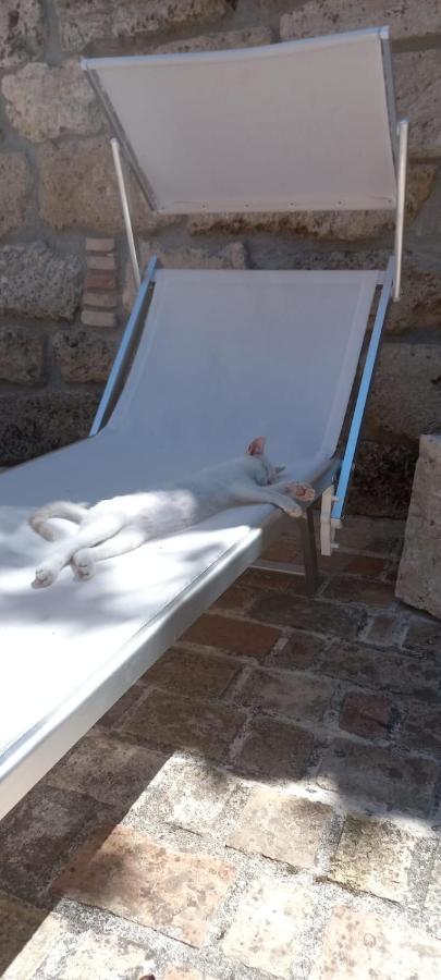 Azienda Agrituristica La Torretta Tocco da Casauria 外观 照片