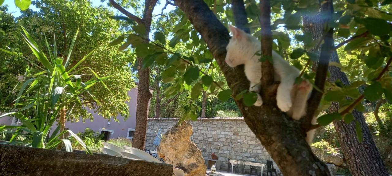 Azienda Agrituristica La Torretta Tocco da Casauria 外观 照片