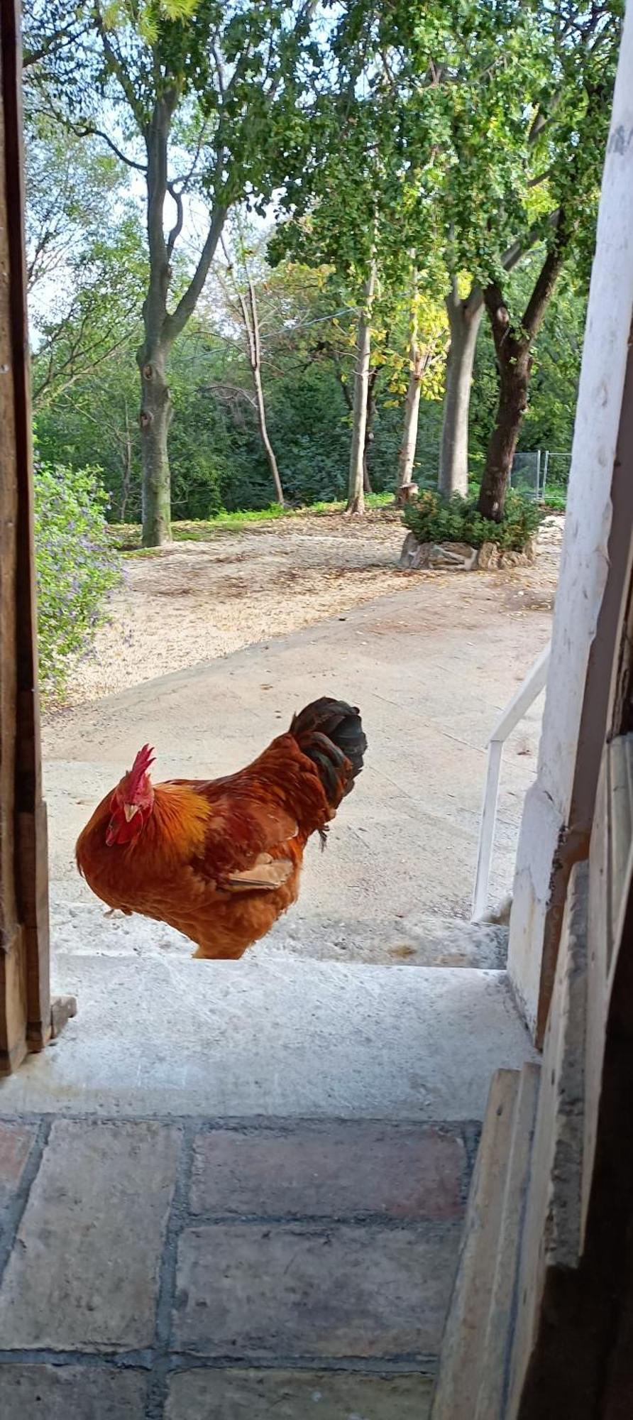 Azienda Agrituristica La Torretta Tocco da Casauria 外观 照片